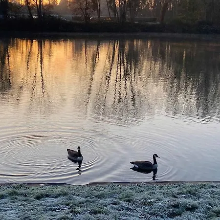 Villa Belle Demeure Avec Piscine, Vue Et Acces Direct A La Seine, Tres Proche De Paris Carrières-sur-Seine